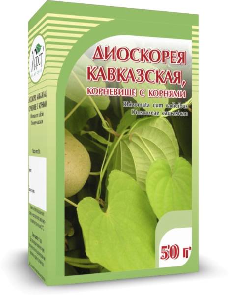 Изображение товара Диоскорея Кавказская корень Хорст 50г Диоскорея Кавказская корень Хорст 50г фотография